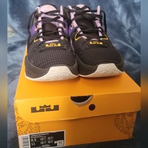 LeBron witness VII mens 9.5